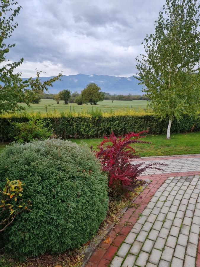 Guesthouse Green Fields Garmen Exterior photo